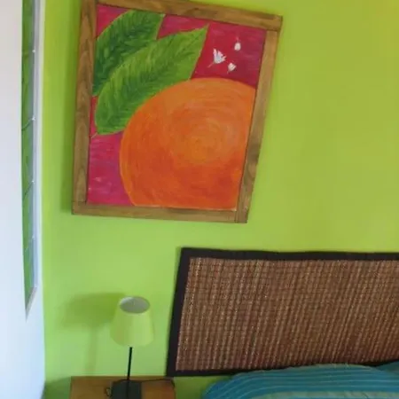 Apartment Seaview Terrace Ficodindia Cir19082027c221287 Cefalu